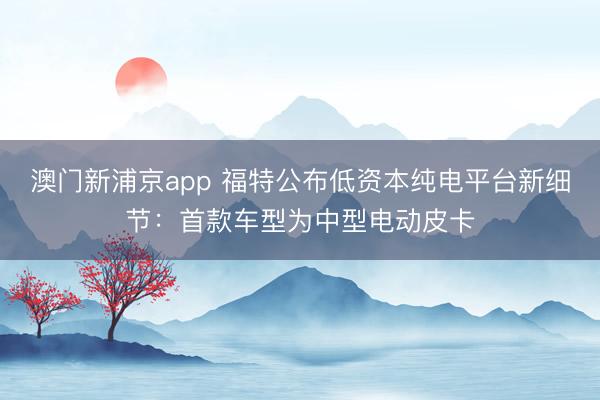 澳门新浦京app 福特公布低资本纯电平台新细节：首款车型为中型电动皮卡