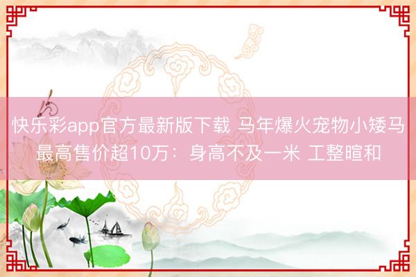 快乐彩app官方最新版下载 马年爆火宠物小矮马最高售价超10万：身高不及一米 工整暄和