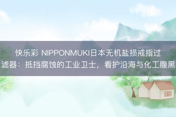 快乐彩 NIPPONMUKI日本无机盐损戒指过滤器：抵挡腐蚀的工业卫士，看护沿海与化工腹黑
